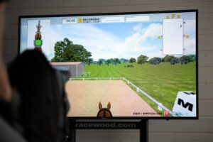 Reitsimulator auf dem Dressurplatz