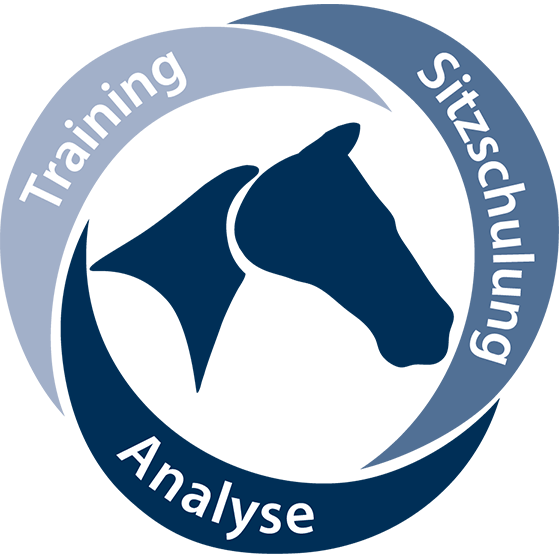 Reiten in Balance bietet Training, Sitzschulung und Analyse