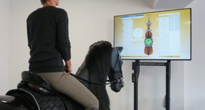 Analyse mit dem Racewood Reitsimulator