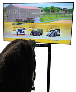 Dressurprogramm vom Racewood Reitsimulator