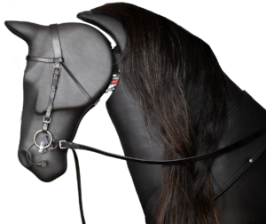 Kopfsensoren des Reitsimulators