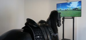 Ausritt mit dem Racewood Reitsimulator