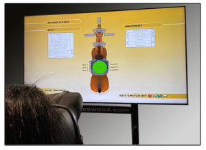 Analysebildschirm des Reitsimulators von Racewood