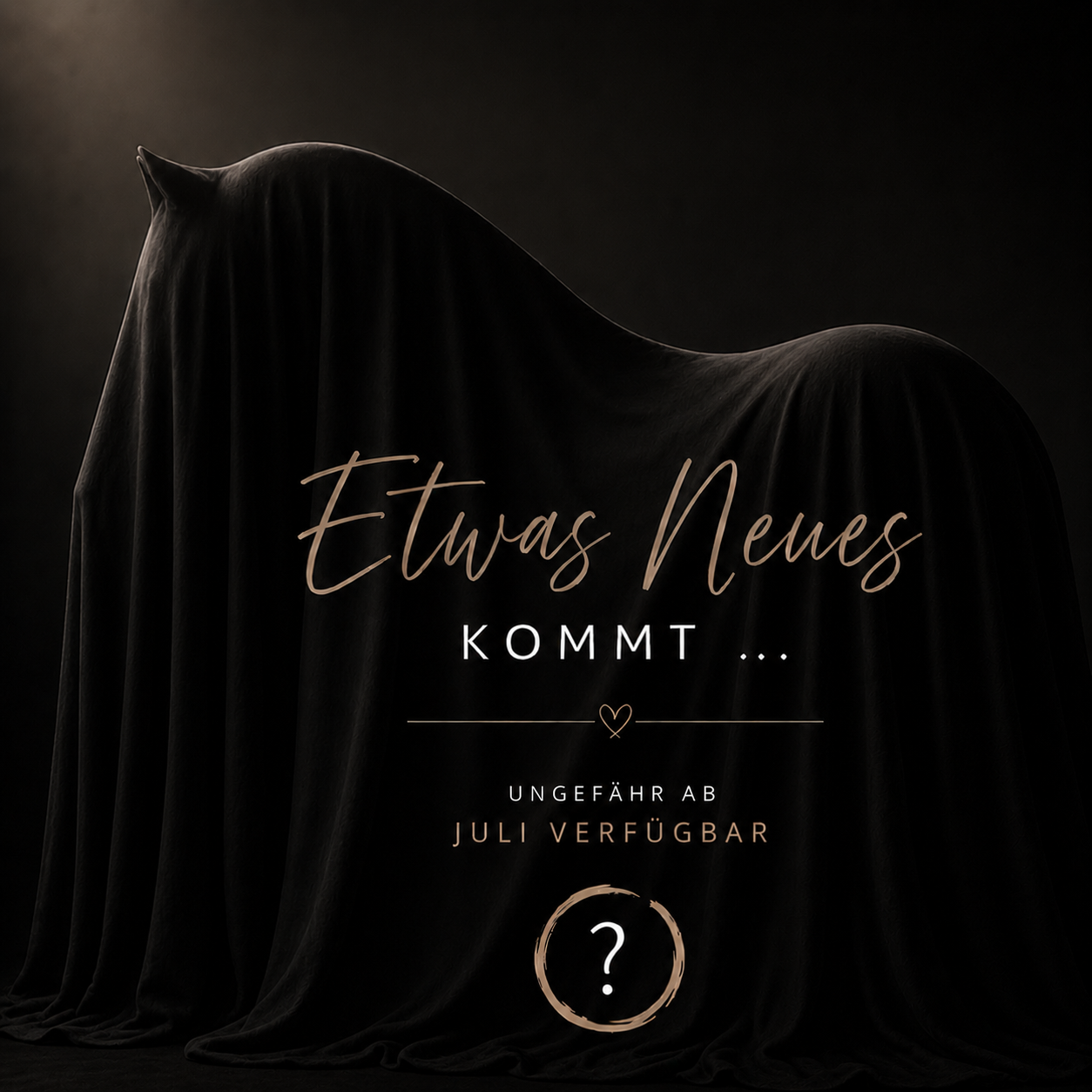 Teaser poster with a cloaked silhouette on a dark background, text 'Etwas Neues kommt…' and a question mark, hinting a release this summer.